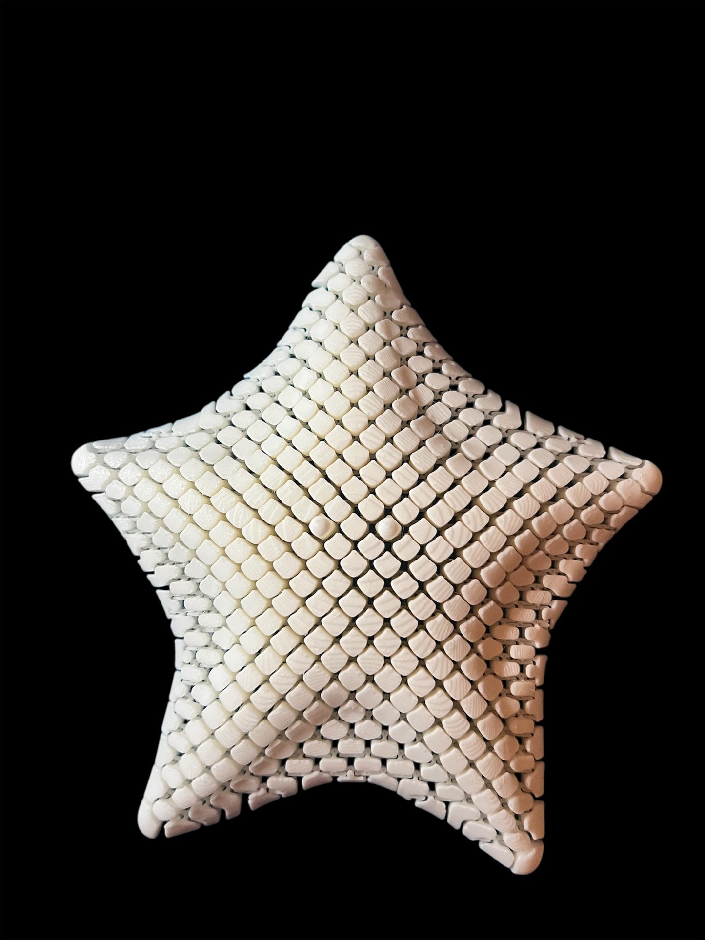 Flexi Articulated Starfish