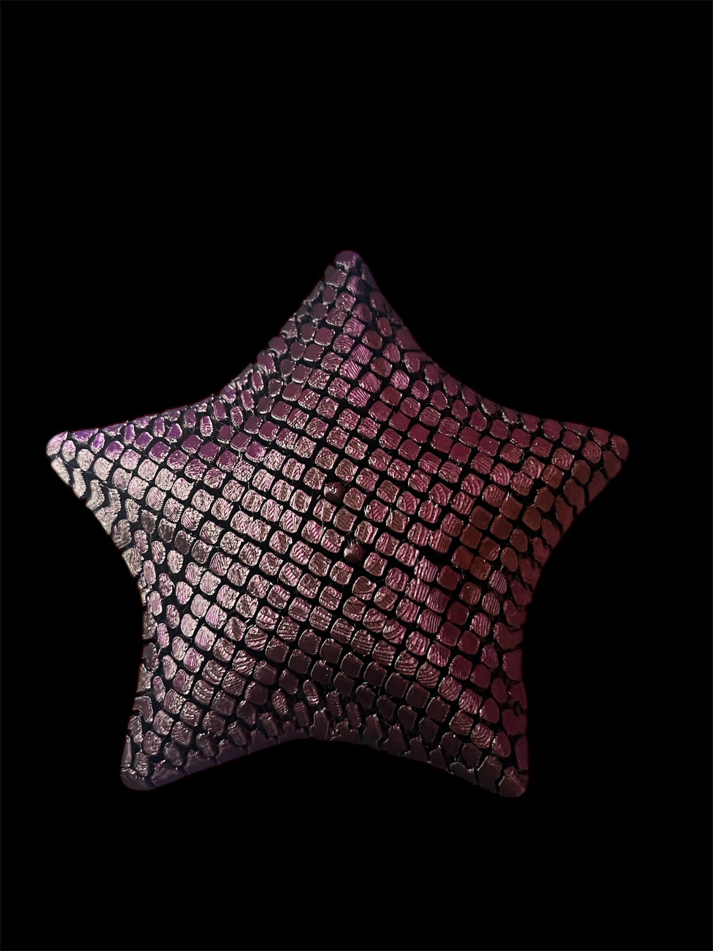 Flexi Articulated Starfish
