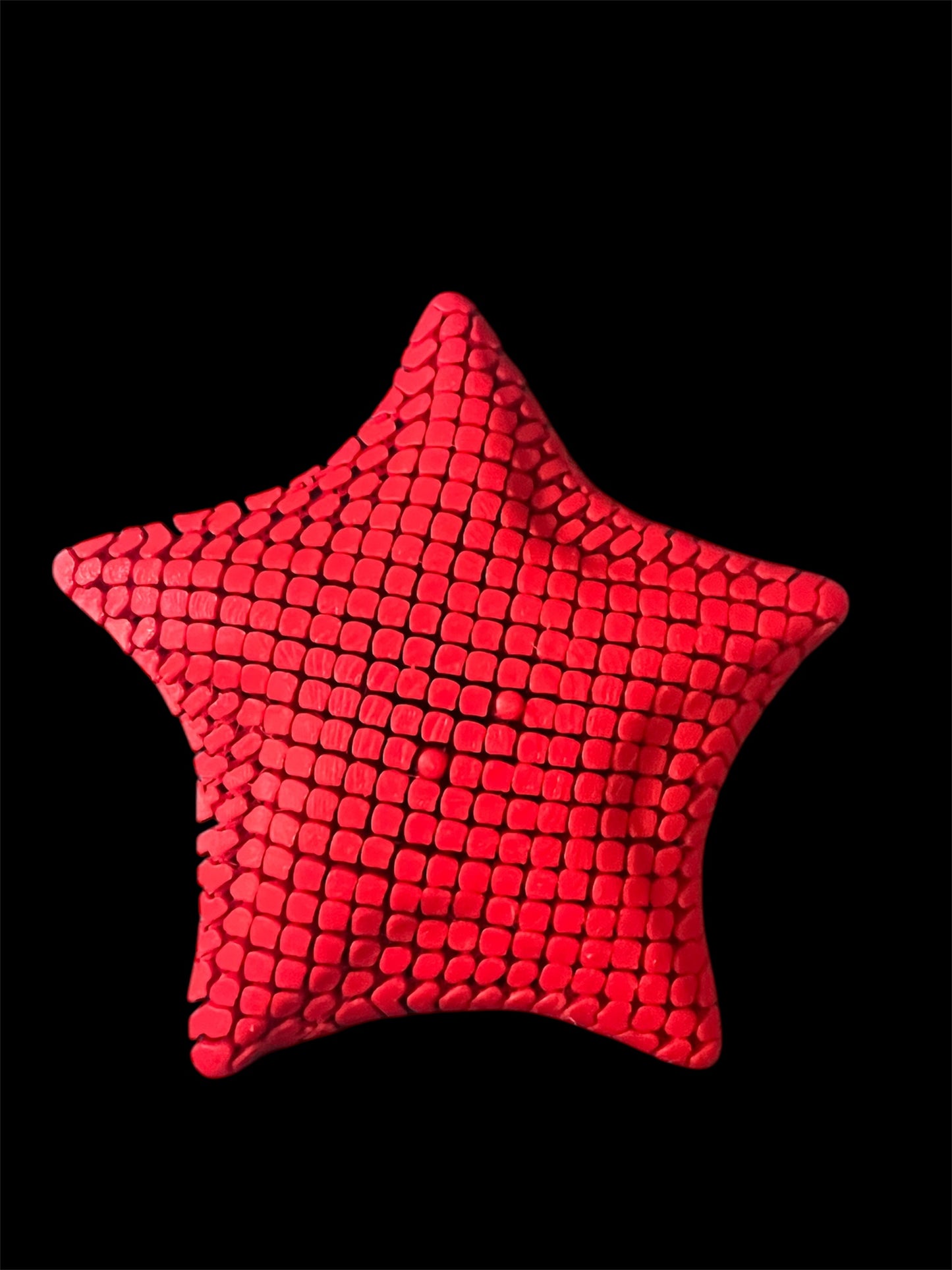 Flexi Articulated Starfish