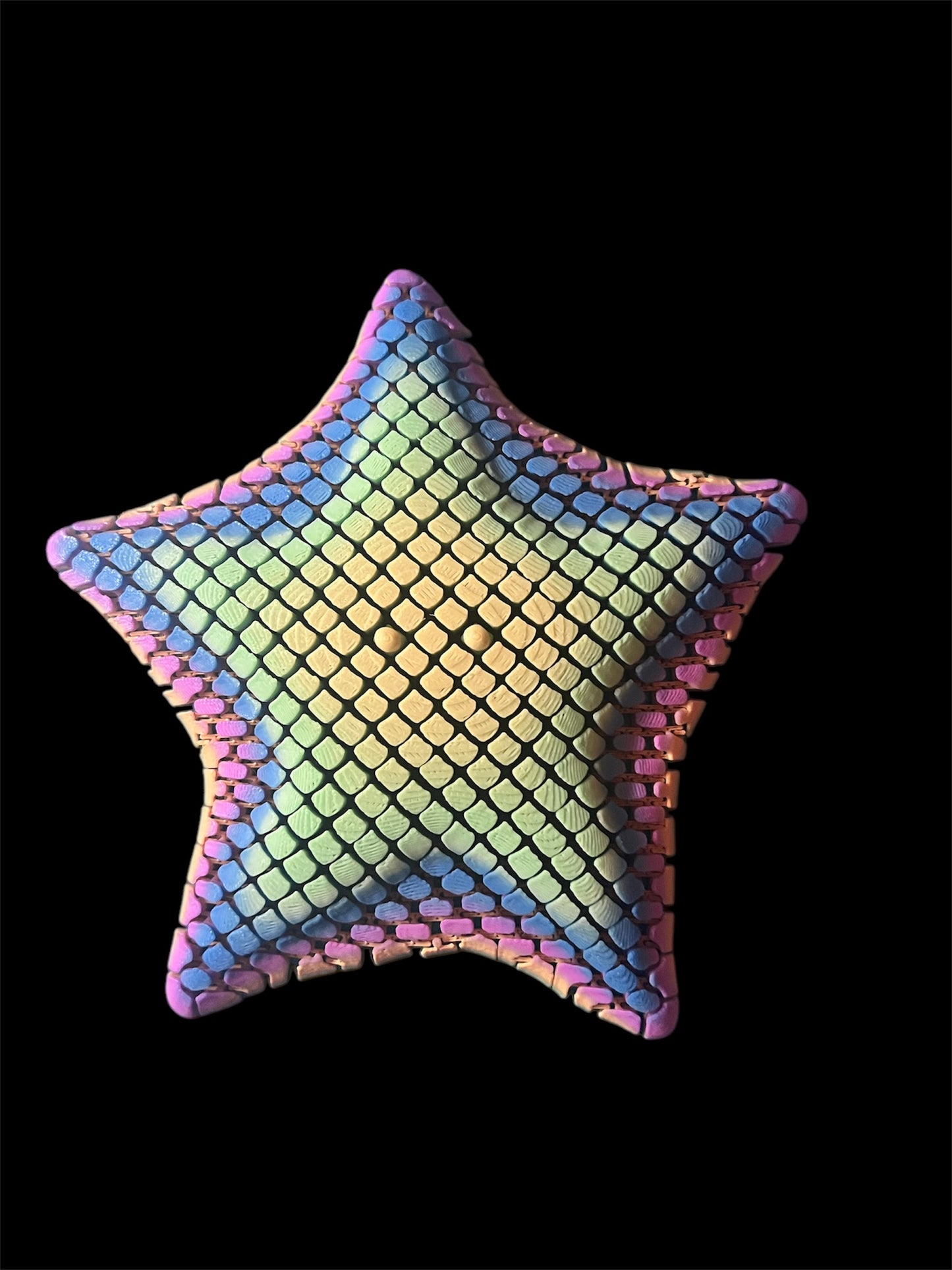 Flexi Articulated Starfish