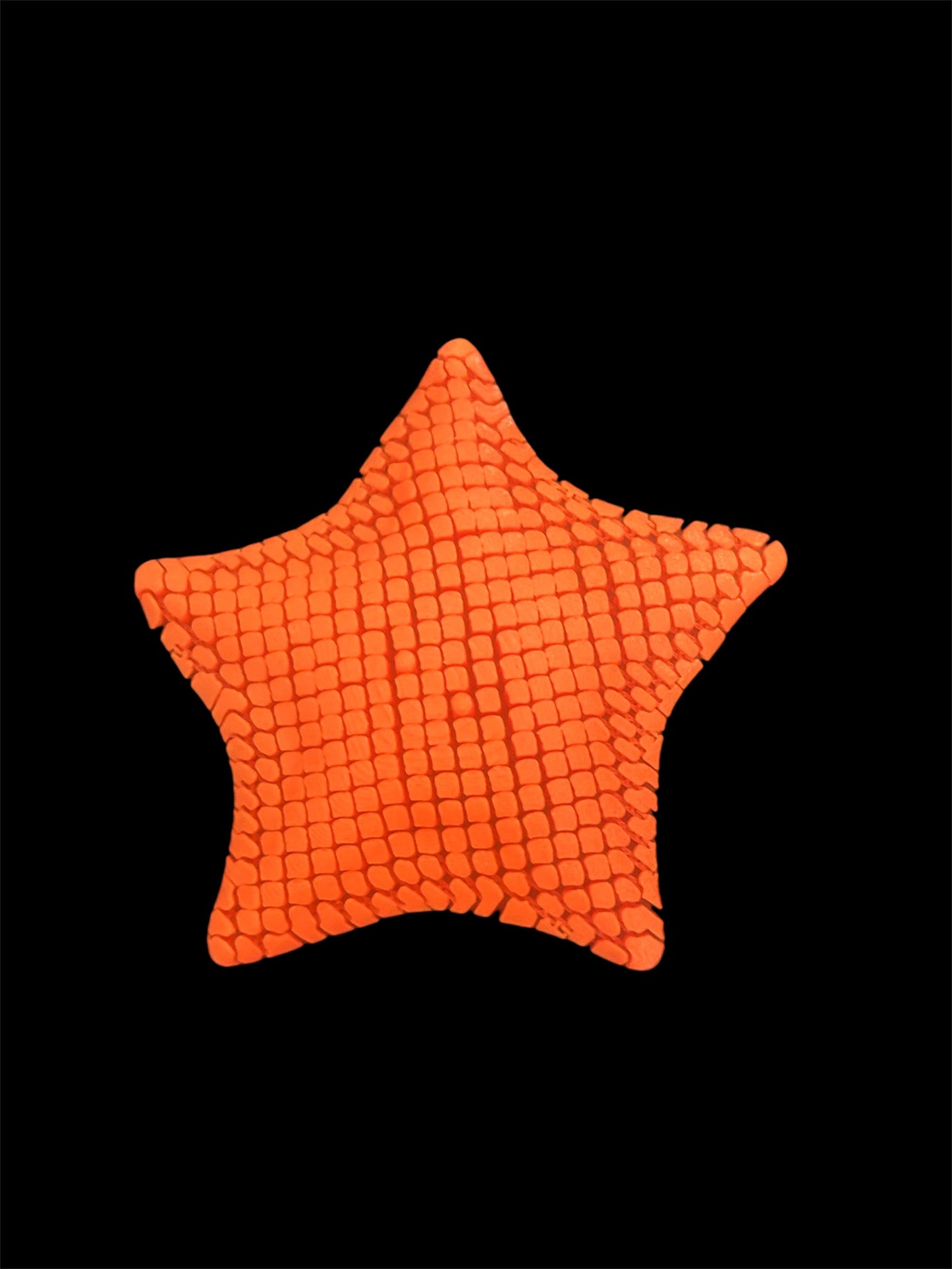 Flexi Articulated Starfish